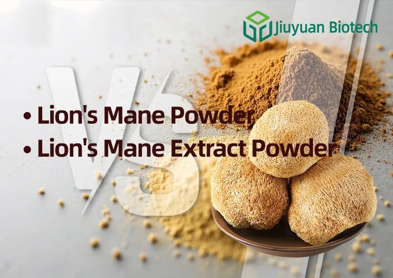 Lions Mane Powder VS Lions Mane Extract Powder Lions Mane Powder VS Lions Mane Extract Powder